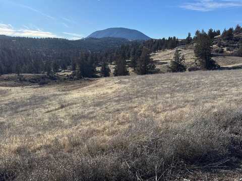 Unit 4 Lot 545 Blue Gill Dr, Montague, CA 96064