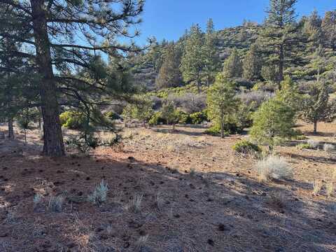 Unit 5 Lot 12 Palmer Dr, Weed, CA 96094