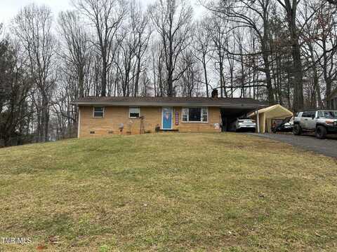 256 Shenandoah Drive, Johnson City, TN 37601