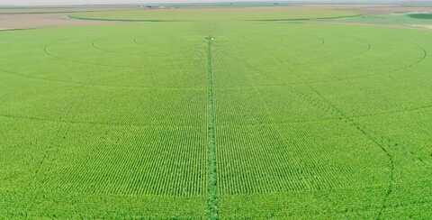 Hwy 136 FM2535, Gruver, TX 79040