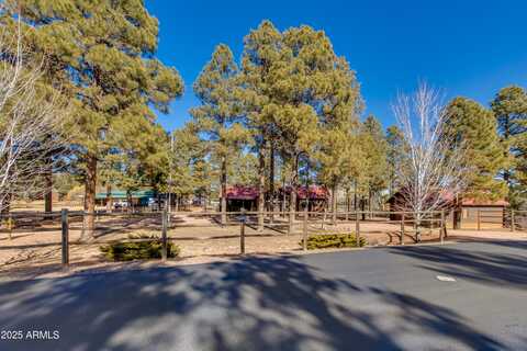 2312 BISON RANCH Trail, Overgaard, AZ 85933