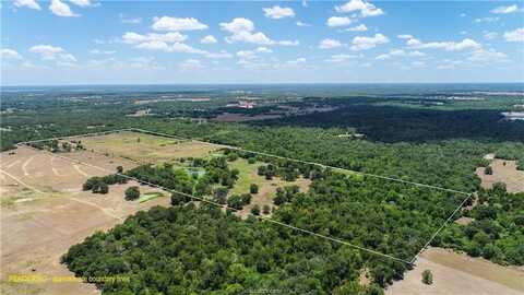 5380 County Road 132 (81.02 acres), Somerville, TX 77879