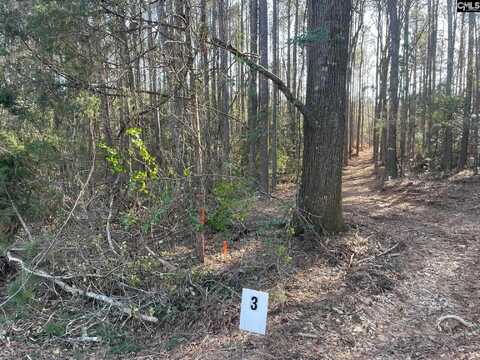 Lot 3 Houston Road, Prosperity, SC 29127