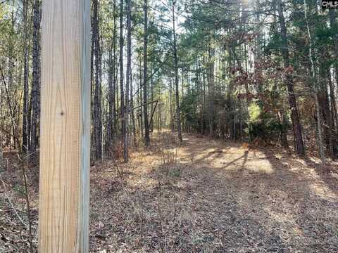 LOT 2 Houston Road, Prosperity, SC 29126