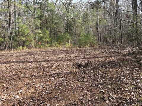 Lot 15 INDIAN COVE, Lincolnton, GA 30817