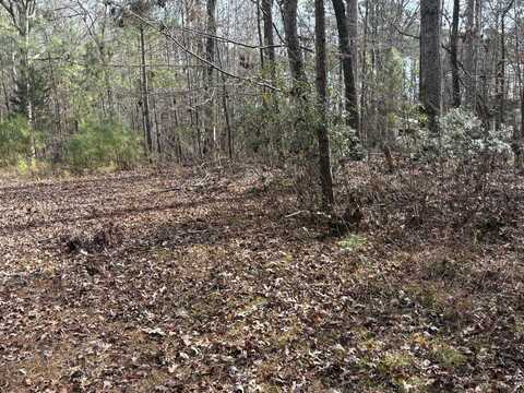 Lot 14 INDIAN COVE, Lincolnton, GA 30817