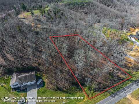 0.93 Acre Nina Rd, White Pine, TN 37890