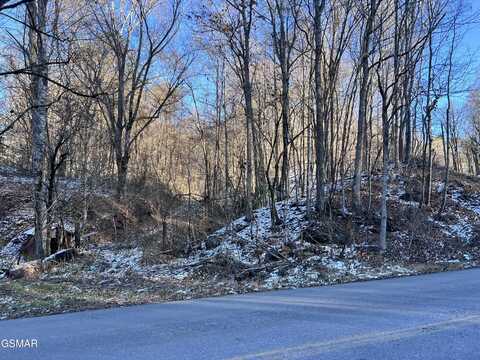 Maples Branch Road, Sevierville, TN 37876