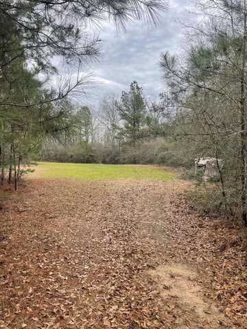 TBD Mt Carmel Rd, Prentiss, MS 39474