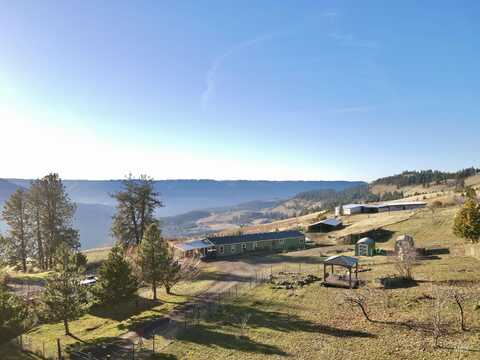 497 Pheasant Drive, Orofino, ID 83544