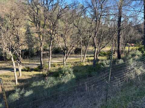 16015 Apache Trail, Corning, CA 96021