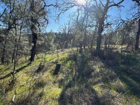 7285 Bluebird Rd, Corning, CA 96021