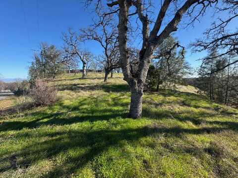 16495 Hillcrest Road, Corning, CA 96021