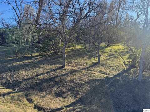 15565 N Mendocino Drive, Corning, CA 96021