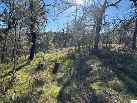 7285 Bluebird Road, Corning, CA 96021