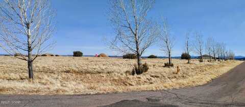 1350 W Farmhouse Drive, Taylor, AZ 85939