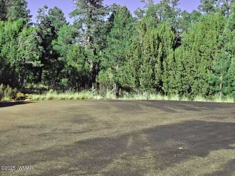 1526 Foxtail Lane, Heber, AZ 85928