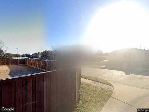 Tiger, CEDAR HILL, TX 75104