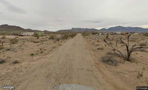 Coyote, Dolan Springs, AZ 86441