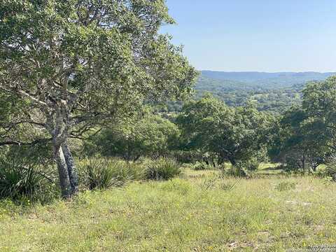 Lot 48 Blackbuck Trail, Pipe Creek, TX 78063