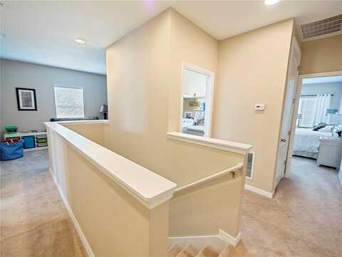 Lemon Drop, APOPKA, FL 32712
