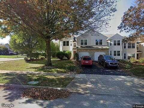 Larkspur, AMBLER, PA 19002