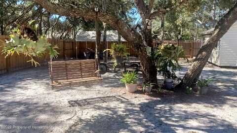 Robina, WEEKI WACHEE, FL 34614