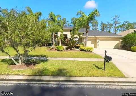 Brush Creek, WESLEY CHAPEL, FL 33544