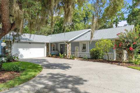 Fig, HOMOSASSA, FL 34446