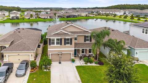 Ansley Bloom, WESLEY CHAPEL, FL 33543