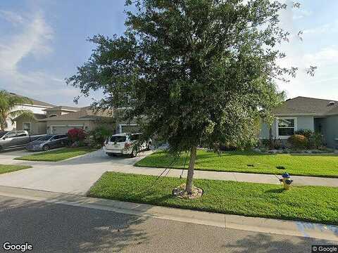 Ansley Bloom, WESLEY CHAPEL, FL 33543