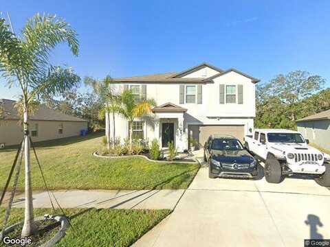 Wild Senna, TAMPA, FL 33619