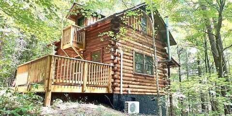 Log Cabin, BLAIRSVILLE, GA 30512