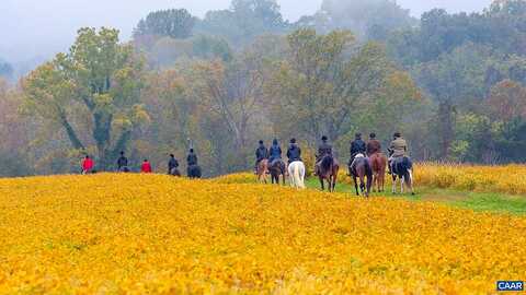 Greenfield Farm, SCOTTSVILLE, VA 24590