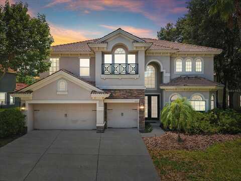 Creedmoor, NEW PORT RICHEY, FL 34654