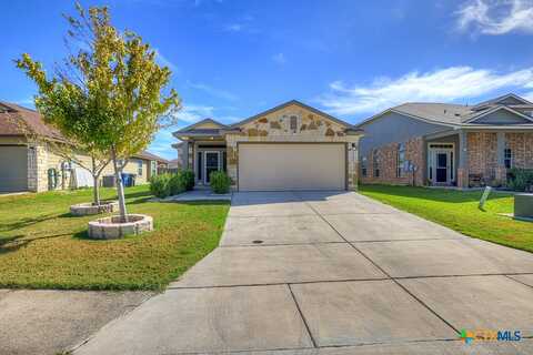 Kolibri, NEW BRAUNFELS, TX 78130