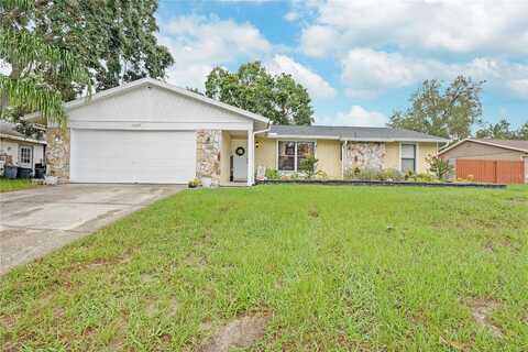 Turkey Oak, NEW PORT RICHEY, FL 34654