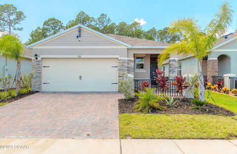 Caryota, NEW SMYRNA BEACH, FL 32168