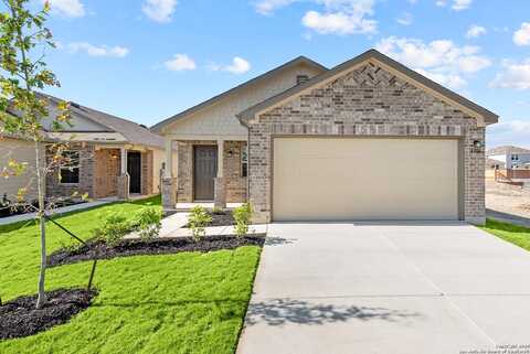 Winston, NEW BRAUNFELS, TX 78130