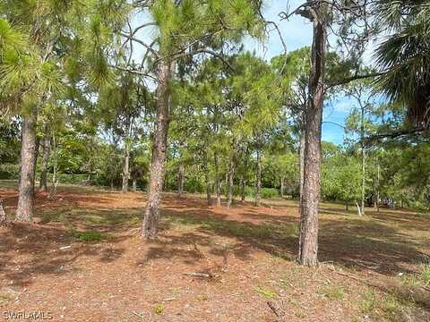 Carica, NAPLES, FL 34108