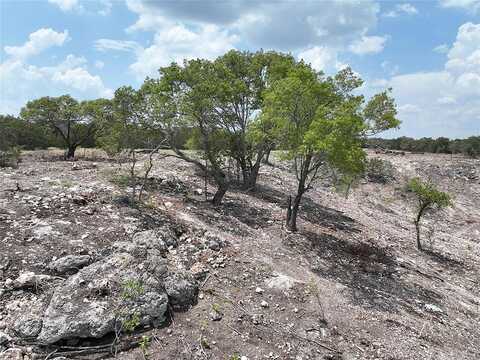 Tbd Fm 2414 - Tract 3, Evant, TX 76525