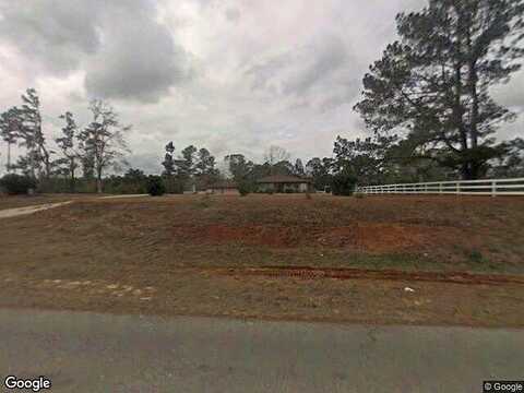 Lot 1 Lakeside Drive, Carriere, MS 39426