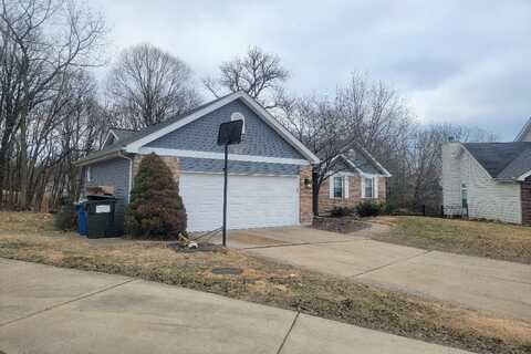 Gifford, FLORISSANT, MO 63031