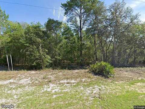 Fisher Way, OCKLAWAHA, FL 32179