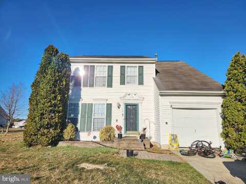 Sugarberry, EGG HARBOR TOWNSHIP, NJ 08234