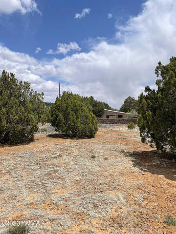 Meadow Lane, Concho, AZ 85924