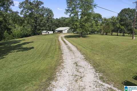 536 OLD PATTON FERRY ROAD, ADGER, AL 35006