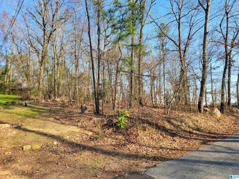 0 CLEARWATER POINT ROAD, CROPWELL, AL 35054