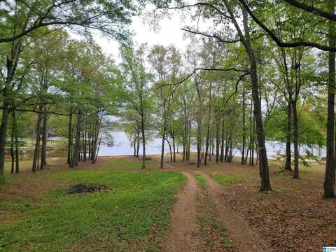 105 RIVERCREST LANE, VINCENT, AL 35178