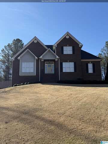 2 FARM COURT, SPRINGVILLE, AL 35146